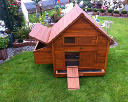 cabane